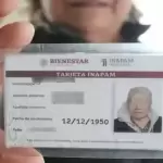 🧓 ¿Tienes INAPAM? Descubre los beneficios reales y el aguinaldo que podrías recibir este diciembre 🎄💸