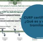 CURP certificada - ¿Qué es y cómo tramitar?