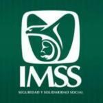 IMSS: ¿Cuánto tiempo puedes conservar el seguro después de perder tu empleo?