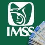 IMSS Ley 73: cómo aumentar el monto de tu pensión desde junio 2026