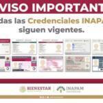 INAPAM 2026: quiénes sí deben renovar su credencial (y quiénes pueden olvidarse del trámite)
