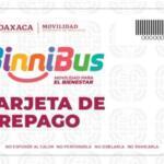 Tarjeta BinniBus para adultos mayores en Oaxaca: descuentos del 50%, requisitos y cómo tramitarla en 2026