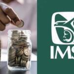 IMSS: cómo cobrar tu pensión de Ley 73 o Ley 97 si vives en Estados Unidos u otro país