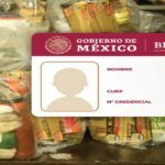 Requisitos y cómo pedir despensas para adultos mayores con Inapam